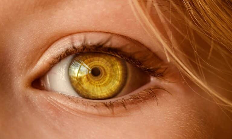 Failed Retinal Detachment Surgery