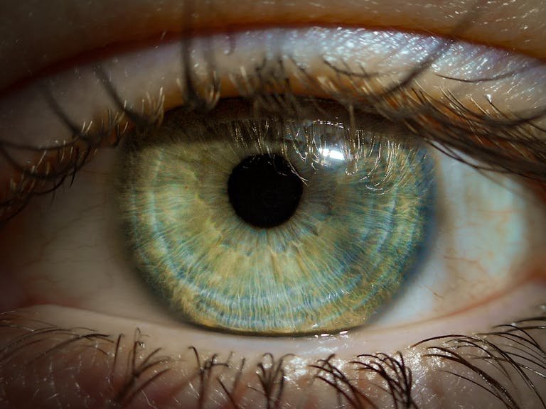 Green eye