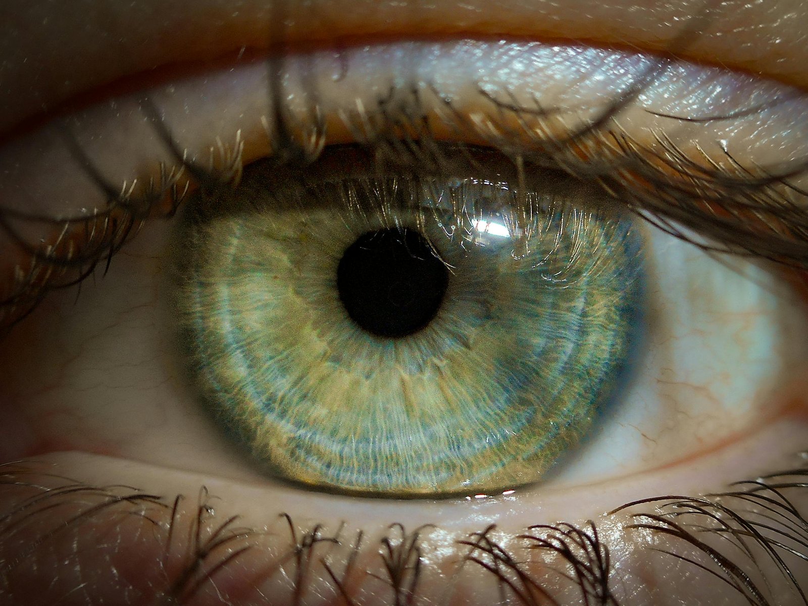 Green eye