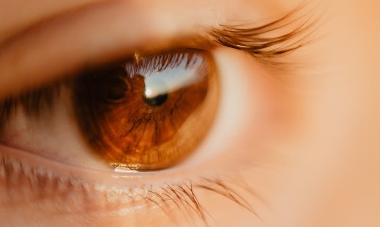 Detailed macro shot of a brown eye highlighting eyelashes and reflection. Perfect for health and beauty themes.