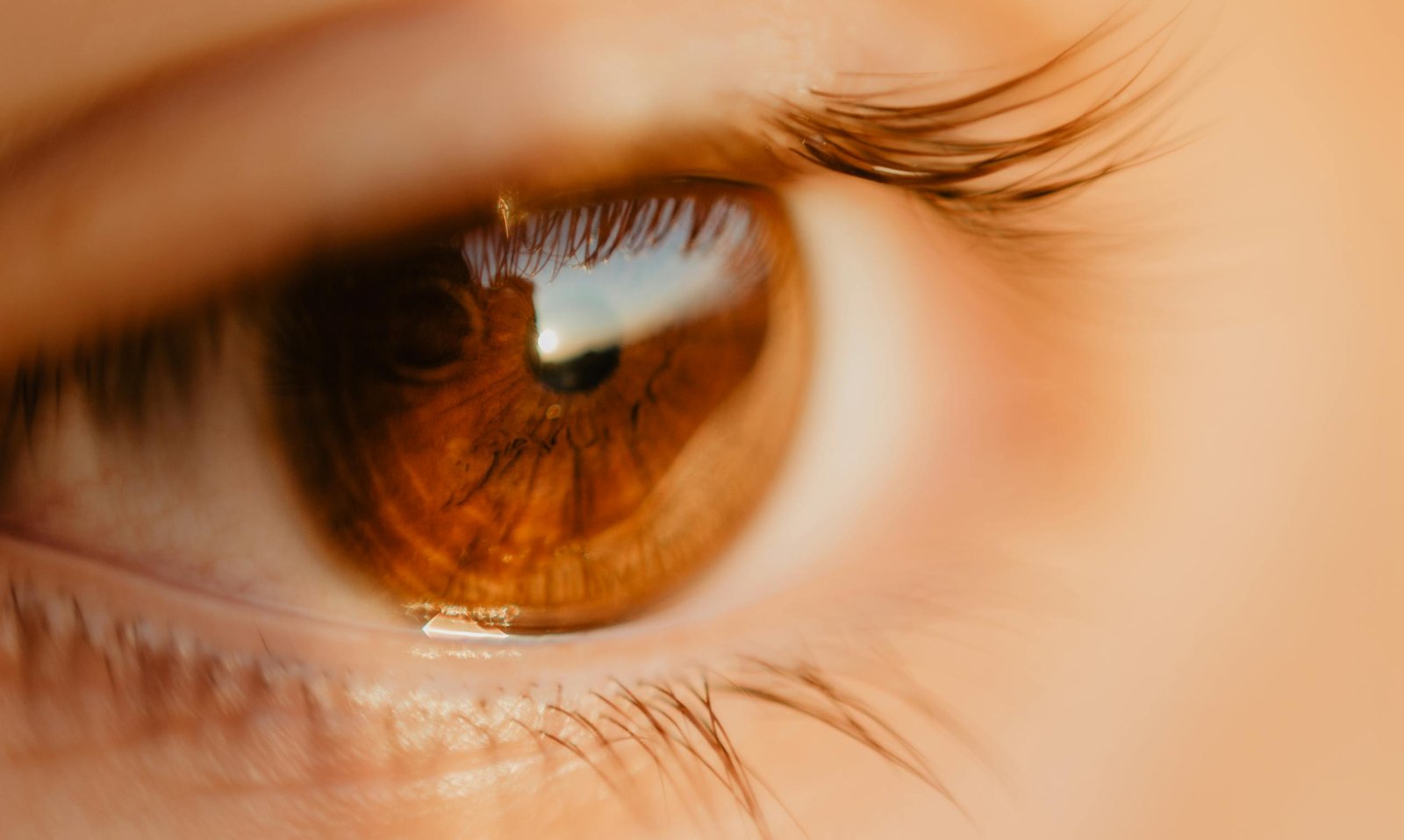 Detailed macro shot of a brown eye highlighting eyelashes and reflection. Perfect for health and beauty themes.